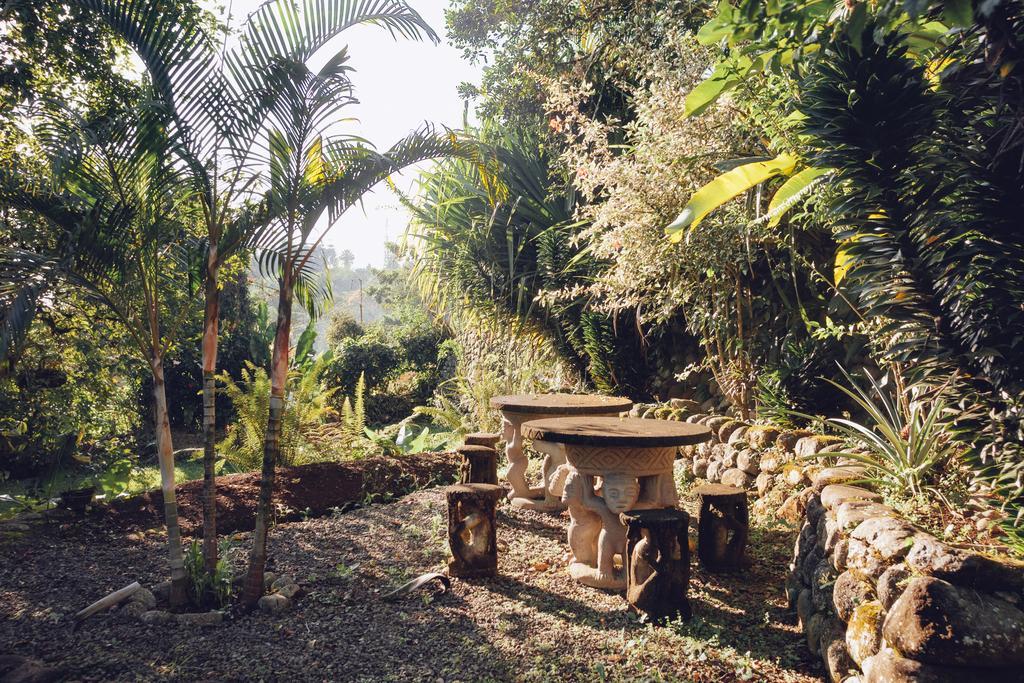 Spanish By The River - Turrialba Luaran gambar